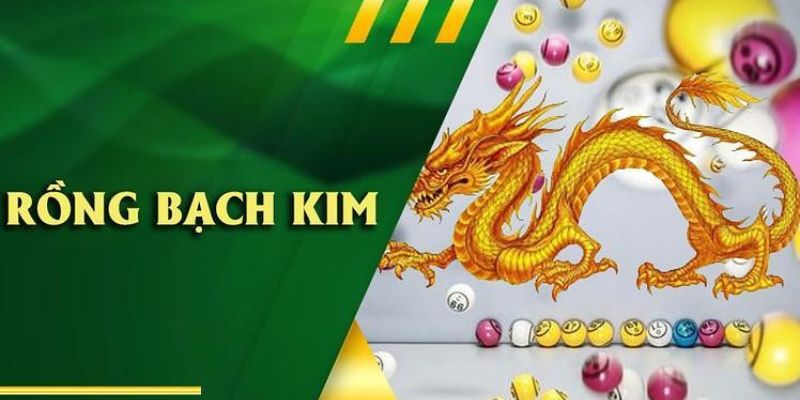 Giới thiệu về trang soi cầu rồng bạch kim